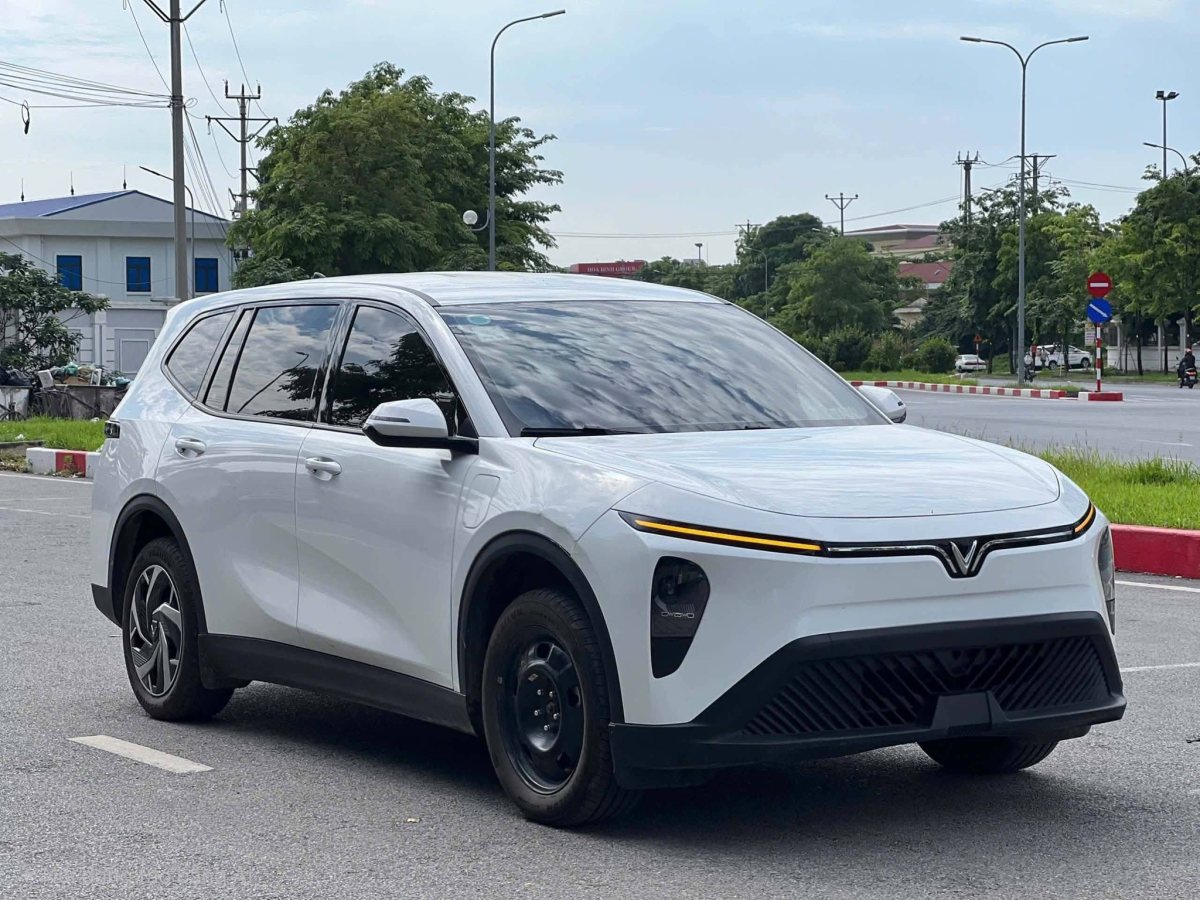 Tổng quan VinFast Limo Green